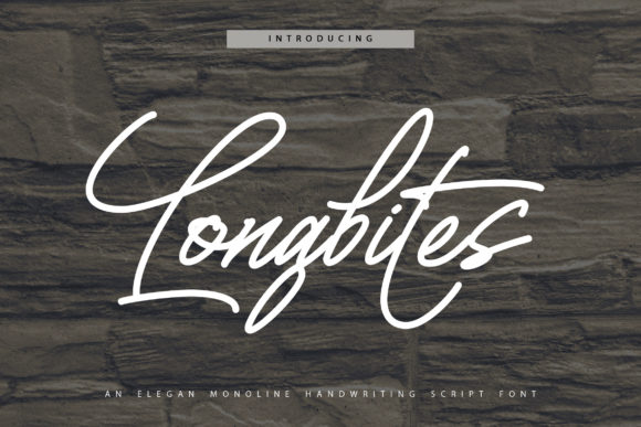 Longbites: The Elegant Handwritten Font for Eye-Catching Campaigns
